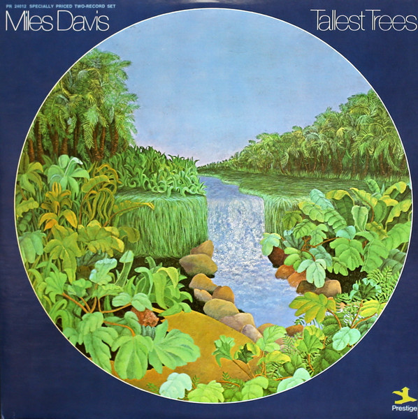 Davis Miles — Tallest Trees