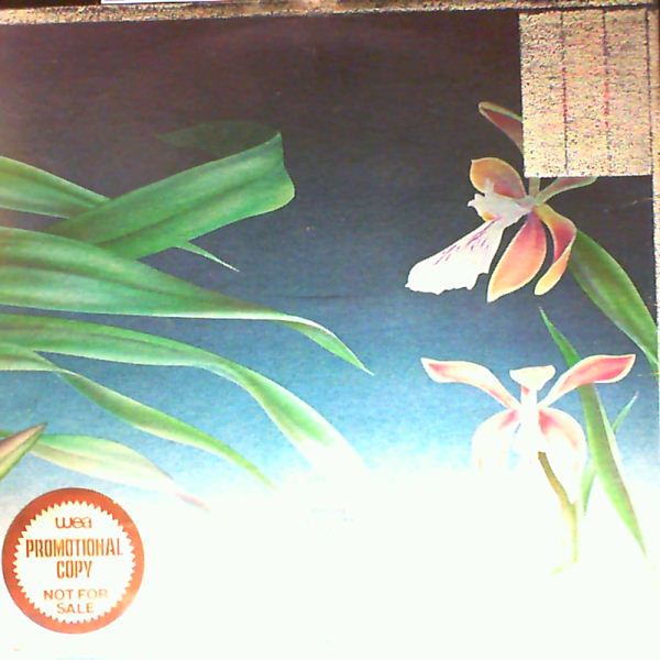 Deodato — Love Island