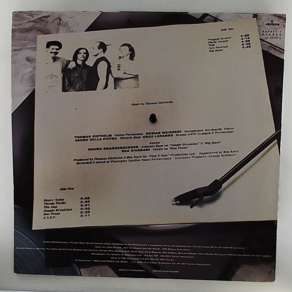 Diethelm Thomas Band — Penguin In Love