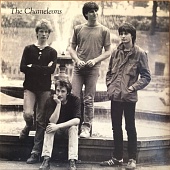 THE CHAMELEONS — Tony Fletcher Walked On Water La La
