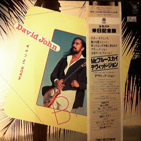 John David (Kalapana solo) — Branded