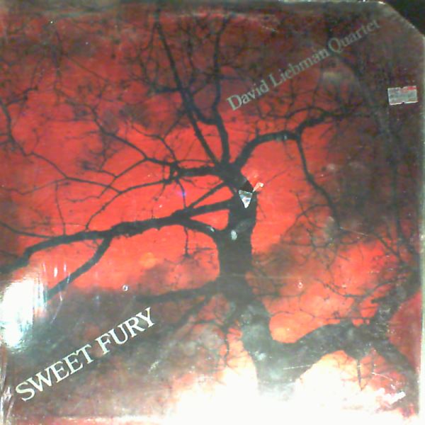 Liebman Dave Quartet — Sweet Fury