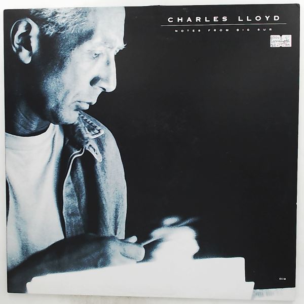 Lloyd Charles — Notes From Big Sur