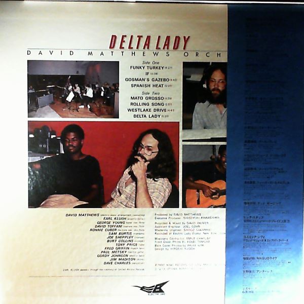 Matthews David Orchestra — Delta Lady
