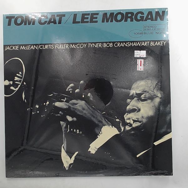 Morgan Lee — Tom Cat