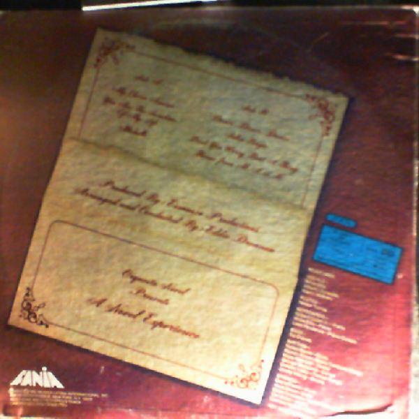 Orquesta Novel — Novel Experiencia