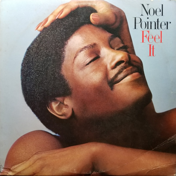 Pointer Noel — Feel It