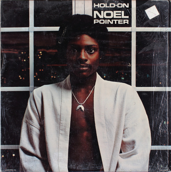 Pointer Noel — Hold On