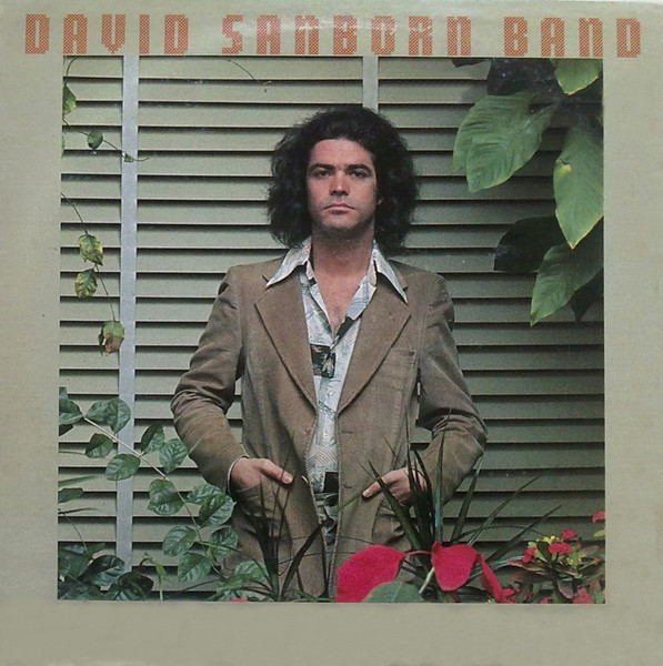 Sanborn David Band — Promise Me The Moon