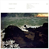 FLEET FOXES — Crack-Up
