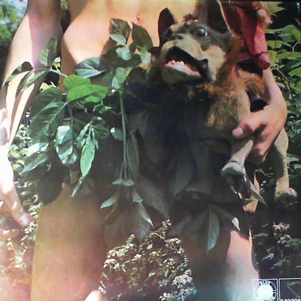 Fleetwood Mac — Mr. Wonderful