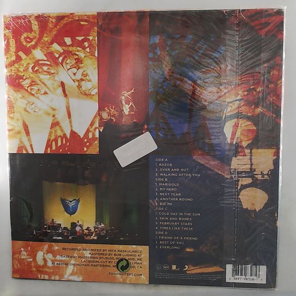 Foo Fighters — Skin And Bones