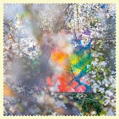 Four Tet ‎ — Sixteen Oceans