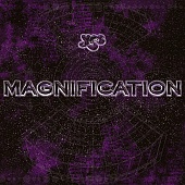 Yes — Magnification