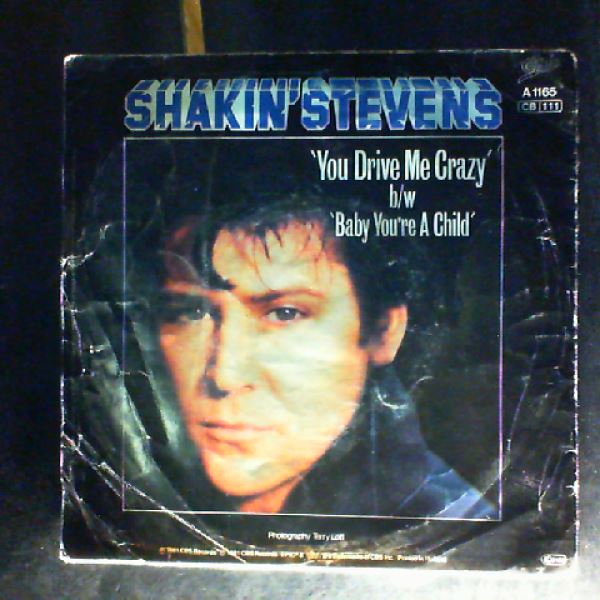 Stevens Shakin' — You Drive Me Crazy
