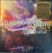 Black Stone Cherry — Magic Mountain