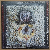 THE RESIDENTS — Our Finest Flowers