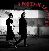 THE BLACK CROWES — A Pound Of Feathers