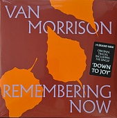 VAN MORRISON — Remembering Now