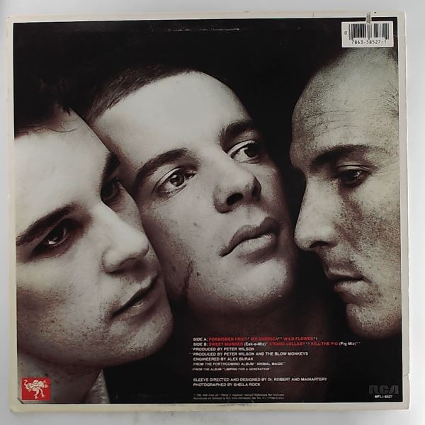 Blow Monkeys — Forbidden Fruit