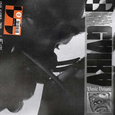 GAIKA — Basic Volume