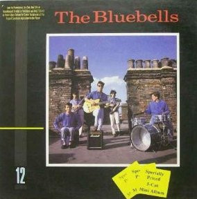 Bluebells — same