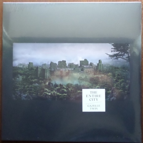 GAZELLE TWIN — The Entire City