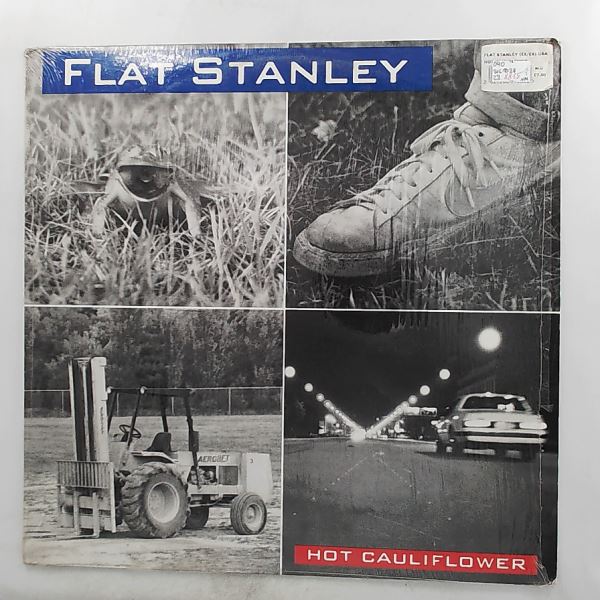 Flat Stanley — Hot Cauliflower