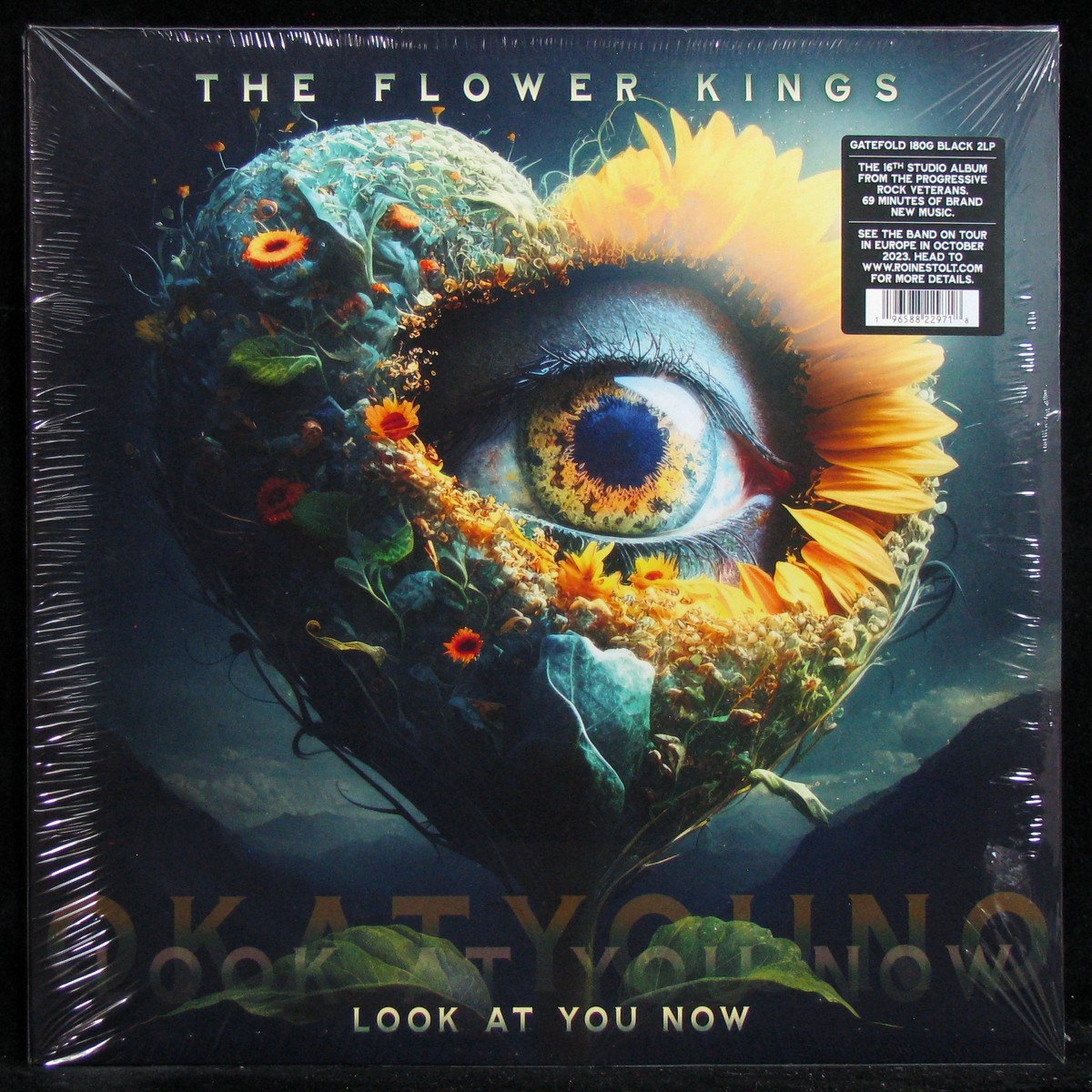 The Flower Kings — Look At You Now