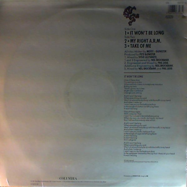 Moyet Alison — It Won't Be Long