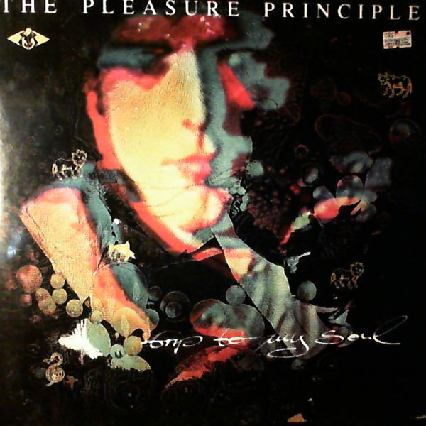Pleasure Principle — Trip To My Soul