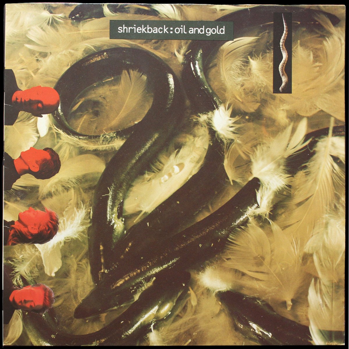 Shriekback — Oil And Gold