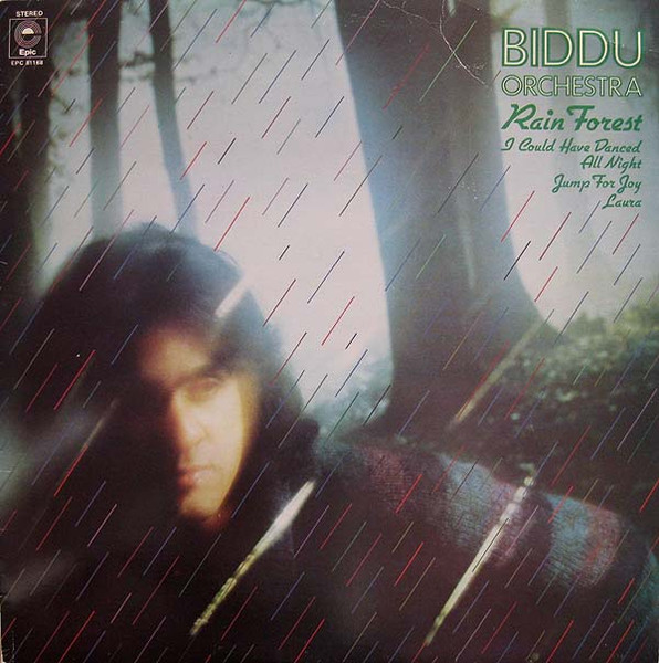 Biddu Orchestra — Rain Forest