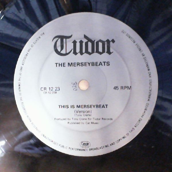 Merseybeats — This Is Merseybeat