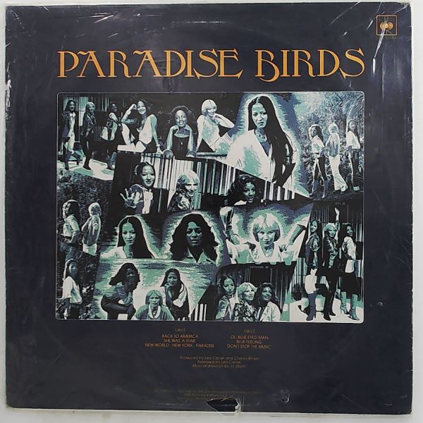 Paradise Birds — Back To America