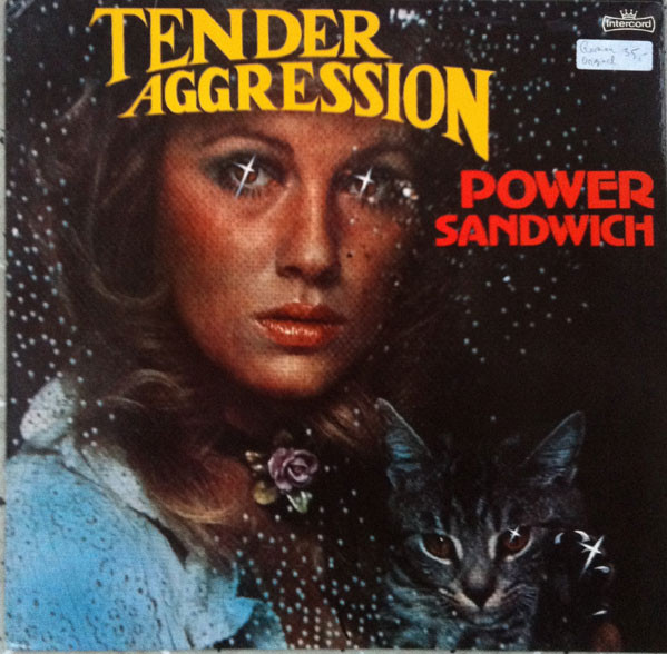 Tender Aggression — Fly Disco Fly
