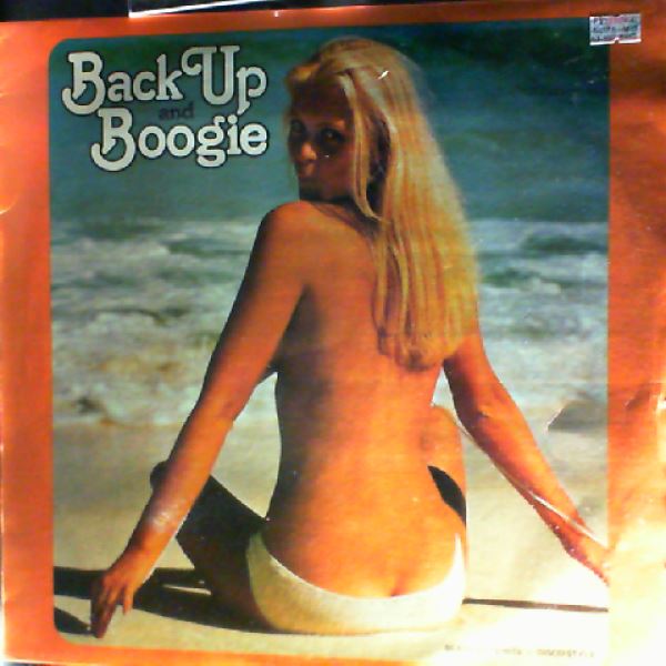 Wild Honey — Back Up And Boogie Beach Boys Hits- Disco Style