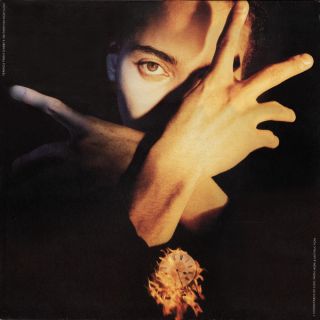 Terence Trent D'Arby — D'Arby Trent Terence Neither Fish Nor Flesh: A Soundtrack Of Love, Faith, Hope And Destruction
