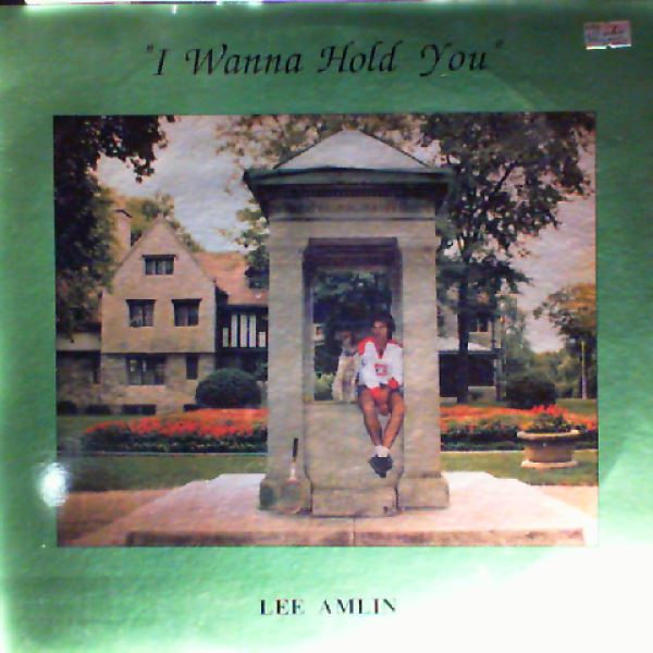 Amlin Lee — I Wanna Hold You