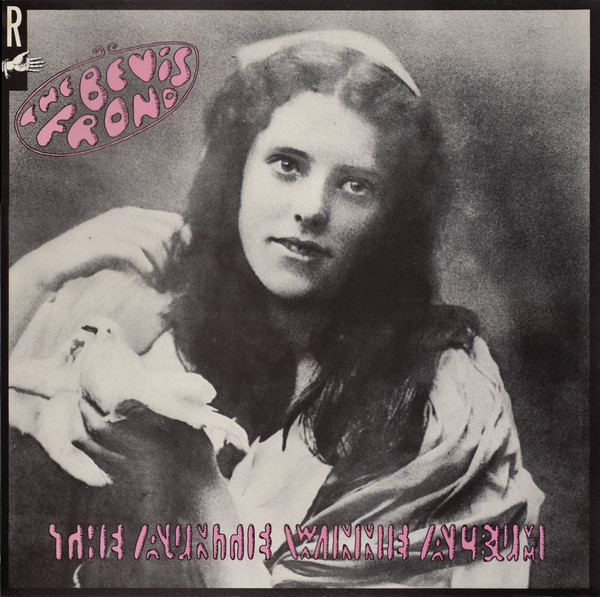 Bevis Frond — Auntie Winnie Album