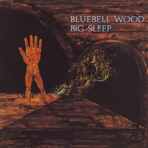 Big Sleep — Bluebell Wood
