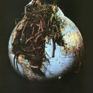 Drosselbart — Drosselbart