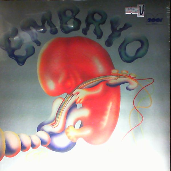 Embryo — Rocksession