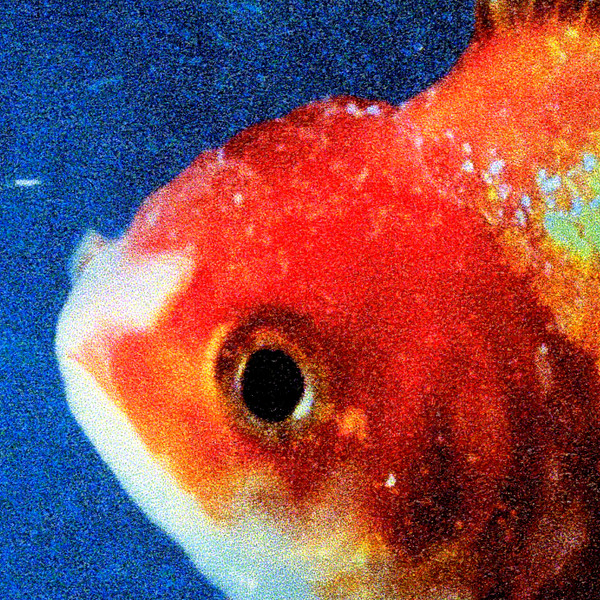 Vince Staples — Big Fish Theory