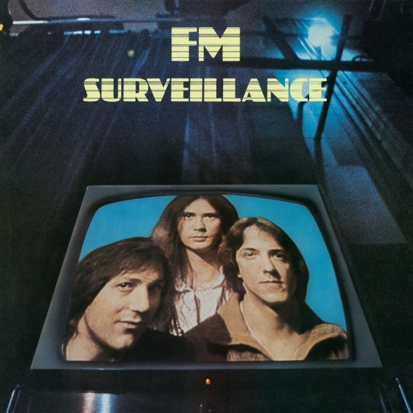 FM — Surveillance