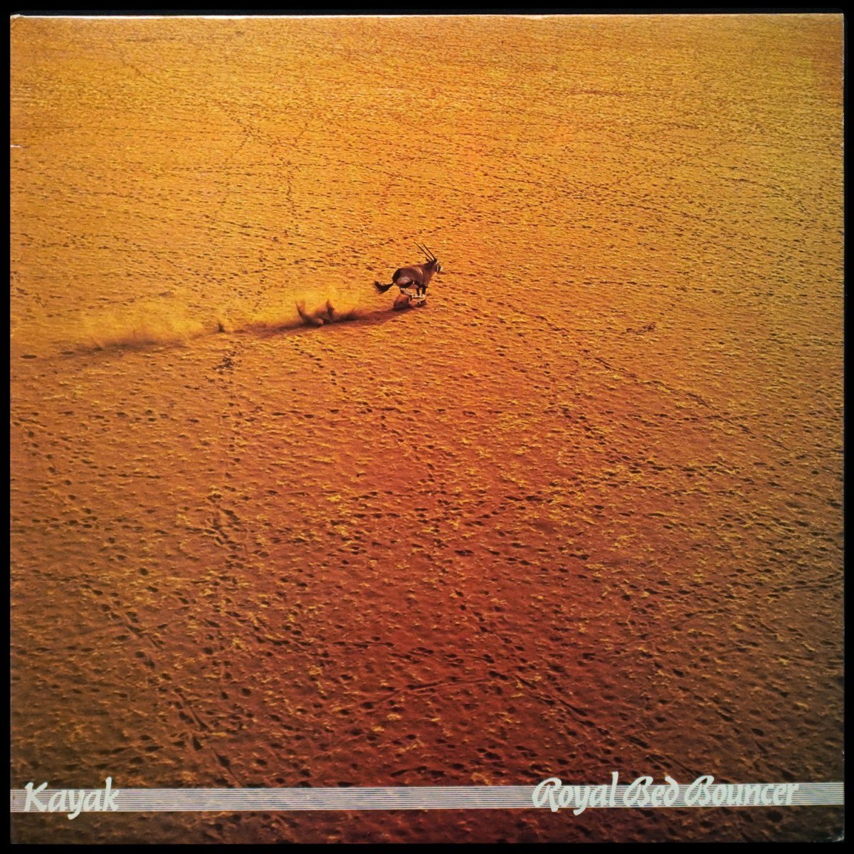 Kayak — Royal Bed Bouncer