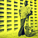 Ali Farka Toure — Green