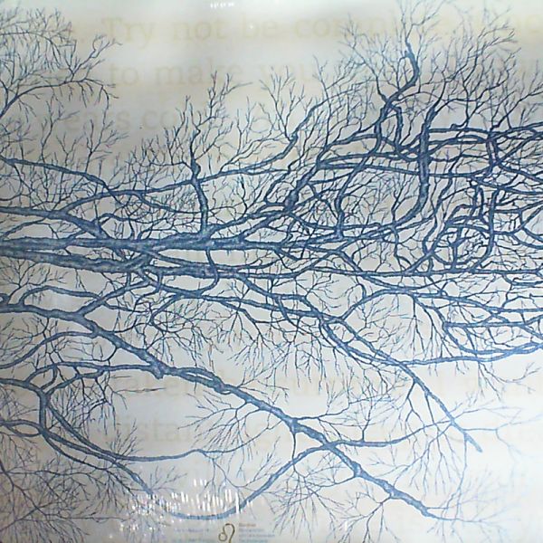 Oak — Sleep Dream Walk Enter