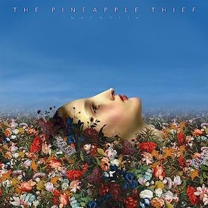 The Pineapple Thief — Magnolia