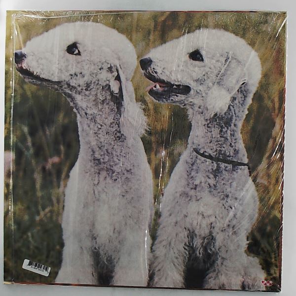 Segall Ty — Goodbye Bread